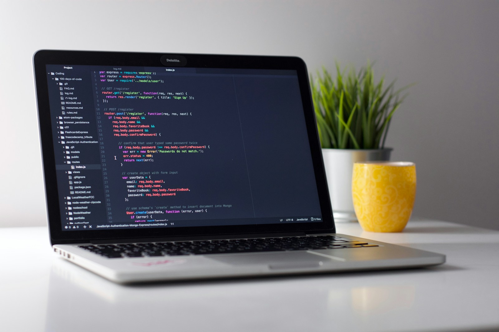 Web development workspace